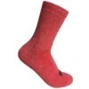 MIDWEIGHT MERINO 6'' SOCK -Voler 2021 Uni Socks Woolie boolie Solid Hor Coral 1